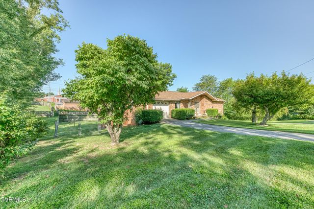 117 Dellwood Lane, Gray, TN 37615