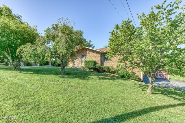 117 Dellwood Lane, Gray, TN 37615