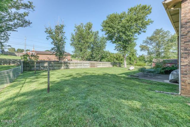 117 Dellwood Lane, Gray, TN 37615
