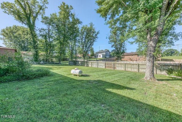 117 Dellwood Lane, Gray, TN 37615