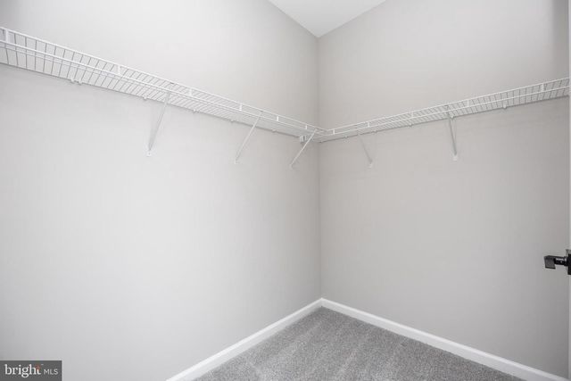 11775 ST STEPHENS WAY, Princess Anne, MD 21853