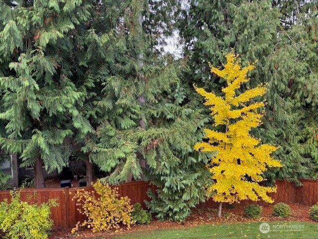 1845 230th Avenue NE, Sammamish, WA 98074