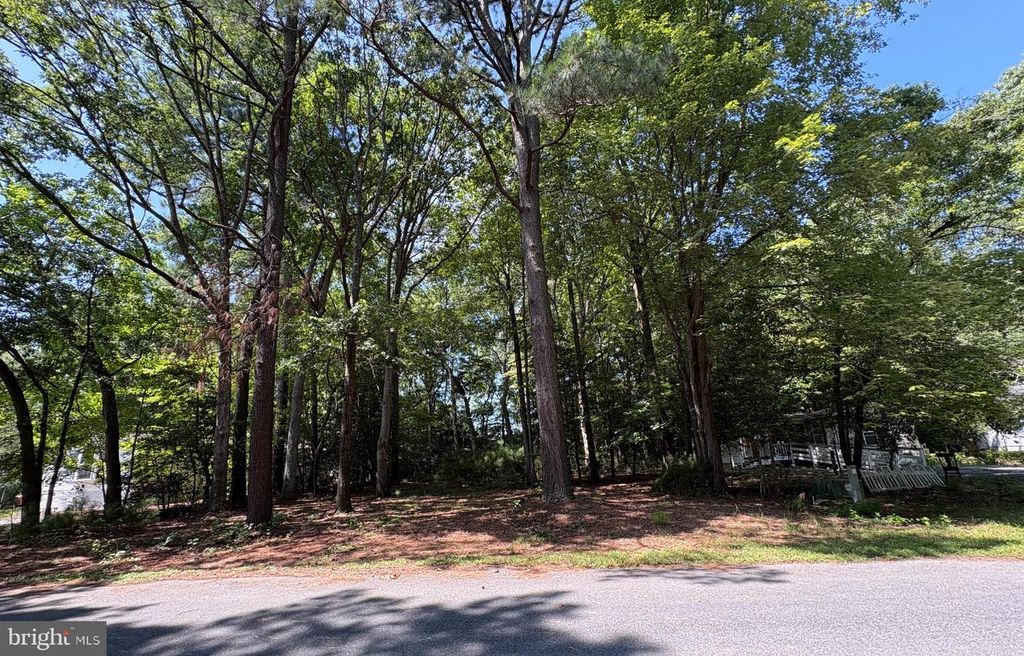 0 SHADY DELL PARK, Frankford, DE 19970
