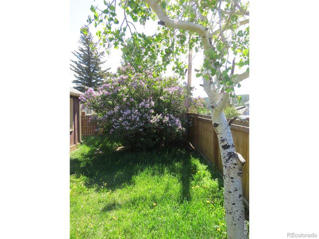 135 E 2nd Street, Nederland, CO 80466