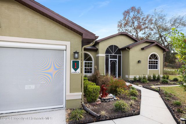 1 Plumbago Drive, Homosassa, FL 34446