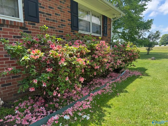 28234 Cedar Hill Road, Ardmore, AL 35739