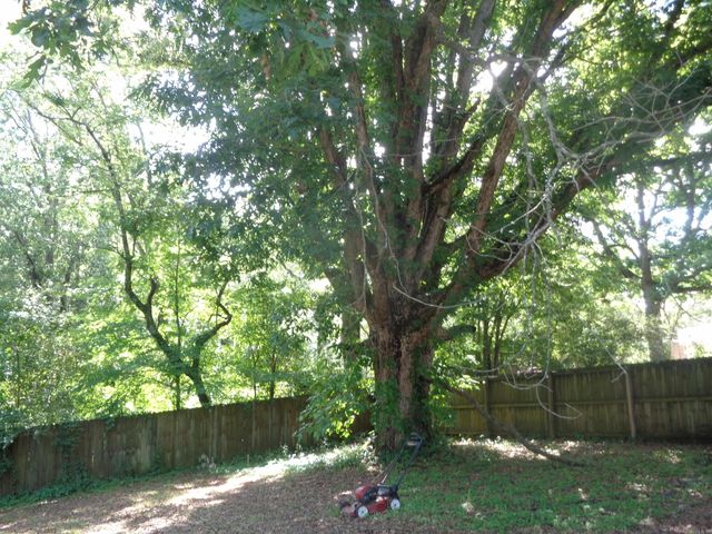 3101 Boyd Street, Little Rock, AR 72204