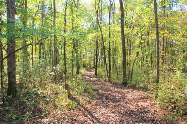 143 Swiper Dr, Smithville, TN 37166