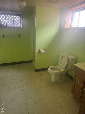 919 W Henry Street, Staunton, IL 62088