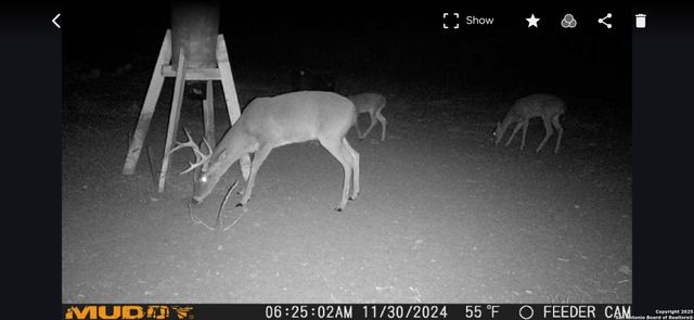 11211 FM 2779, Moore, TX 78057