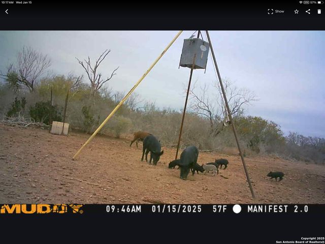 11211 FM 2779, Moore, TX 78057