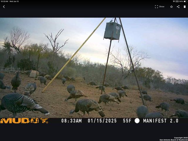 11211 FM 2779, Moore, TX 78057