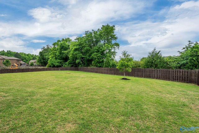 216 Count Fleet Court, Madison, AL 35756