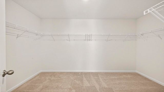 442 Cadbury Loop, Summerville, SC 29486