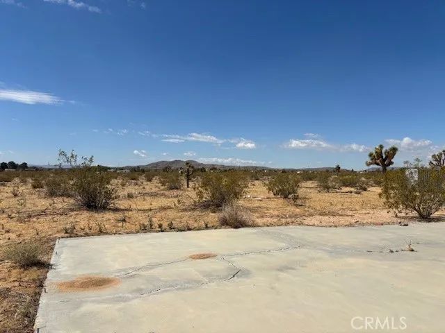 1 Mitch, Landers, CA 92284