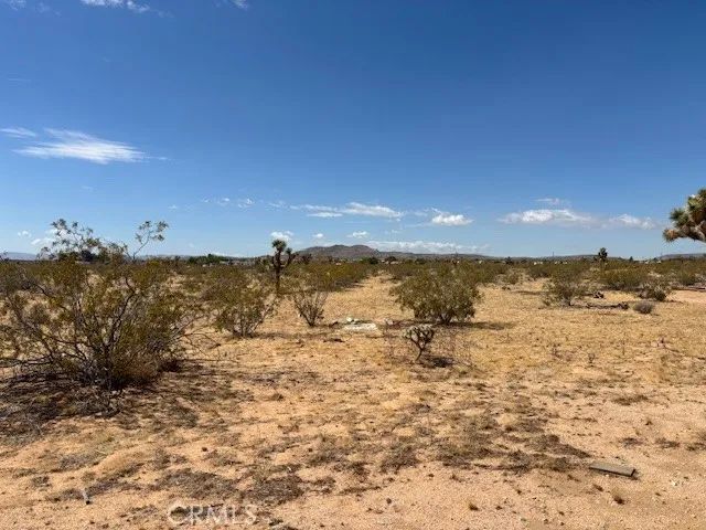 1 Mitch, Landers, CA 92284