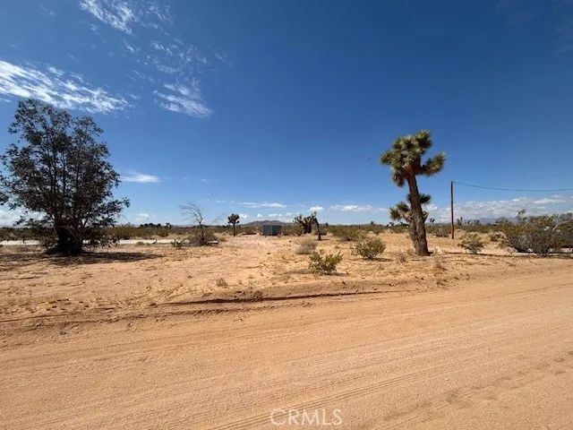1 Mitch, Landers, CA 92284