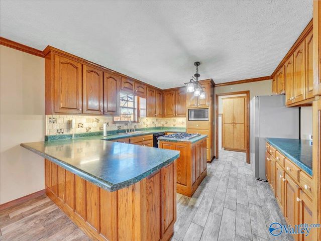 417 County Road 407, Sylvania, AL 35988