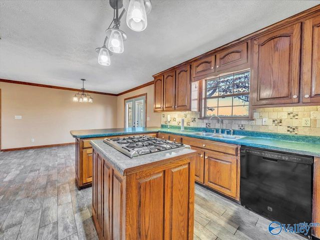 417 County Road 407, Sylvania, AL 35988