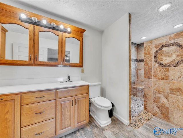 417 County Road 407, Sylvania, AL 35988