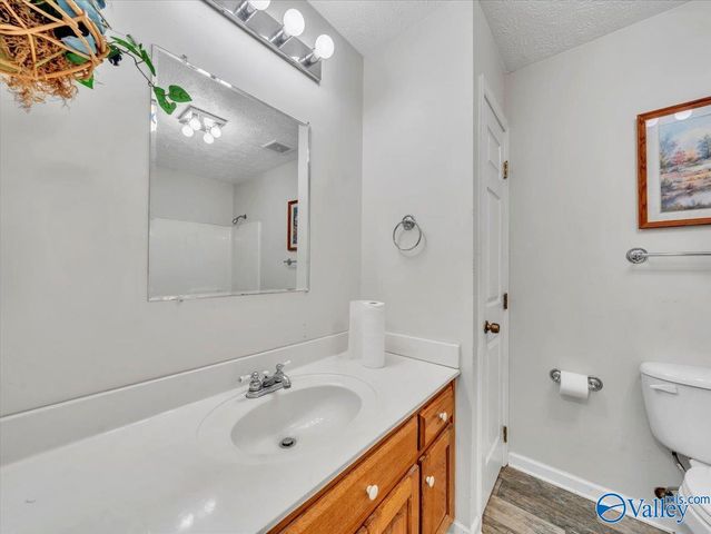 417 County Road 407, Sylvania, AL 35988