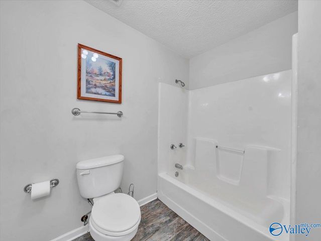 417 County Road 407, Sylvania, AL 35988