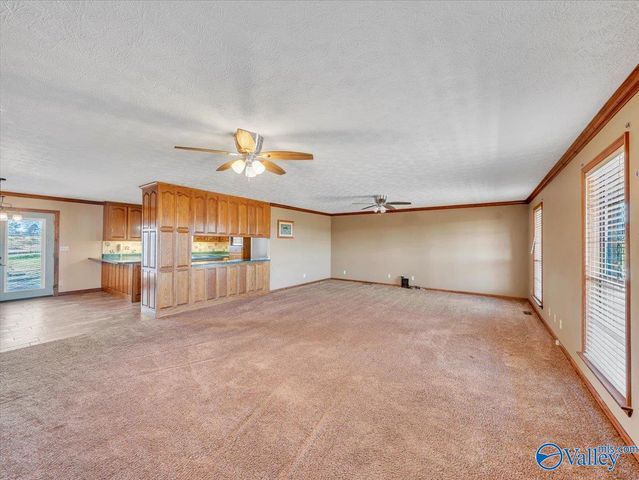 417 County Road 407, Sylvania, AL 35988