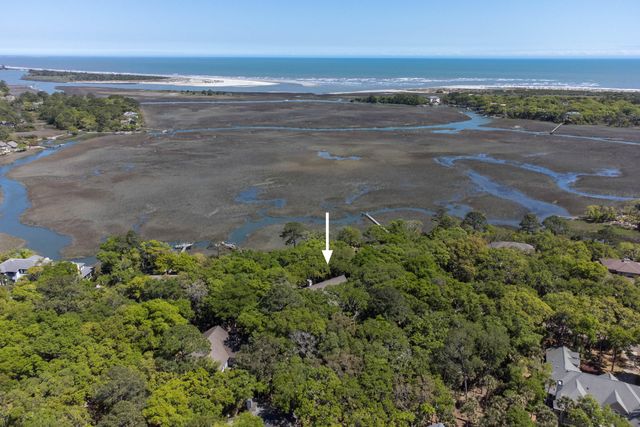 2290 Marsh Hen Drive, Seabrook Island, SC 29455