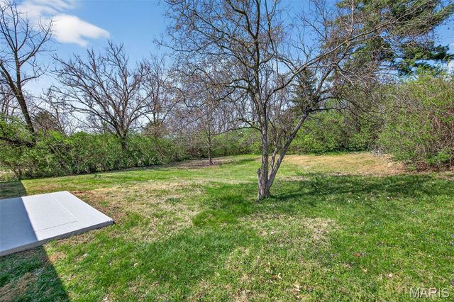 11553 Patty Ann Drive, St Louis, MO 63146