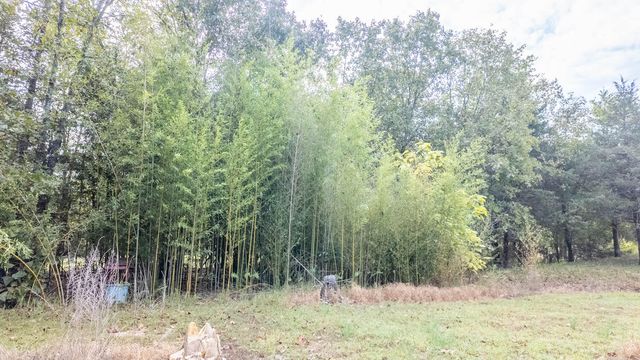 902 Honeytree Lane, Camp, AR 72520