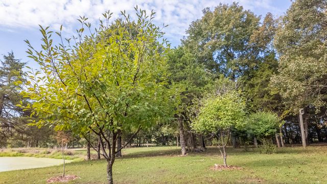 902 Honeytree Lane, Camp, AR 72520