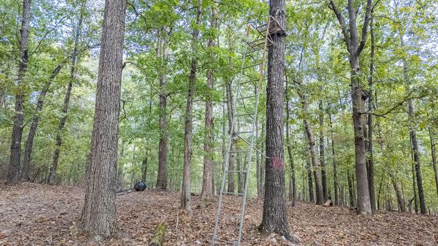 902 Honeytree Lane, Camp, AR 72520