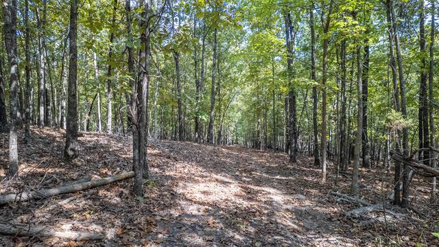 902 Honeytree Lane, Camp, AR 72520