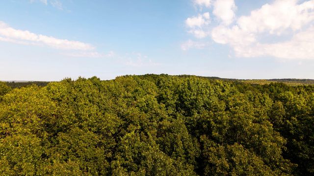 902 Honeytree Lane, Camp, AR 72520