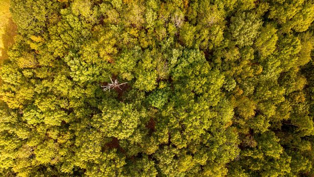 902 Honeytree Lane, Camp, AR 72520