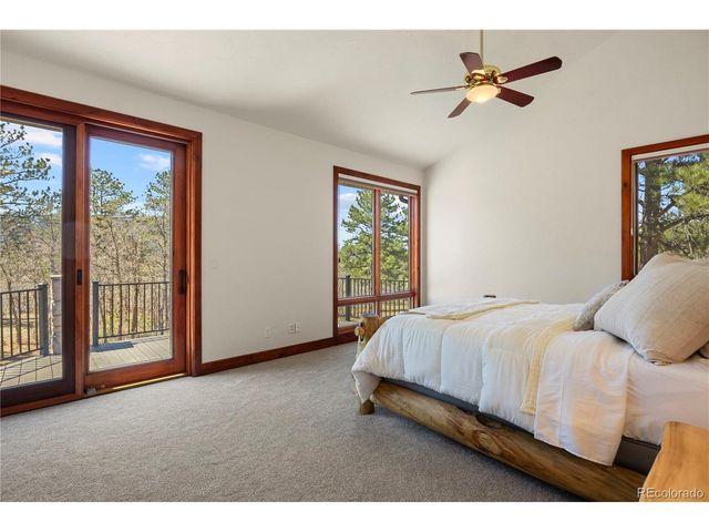 9676 S Perry Park Rd, Larkspur, CO 80118