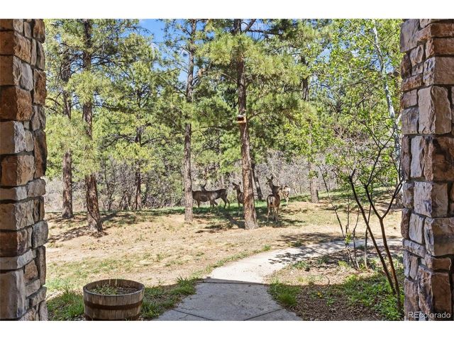 9676 S Perry Park Rd, Larkspur, CO 80118