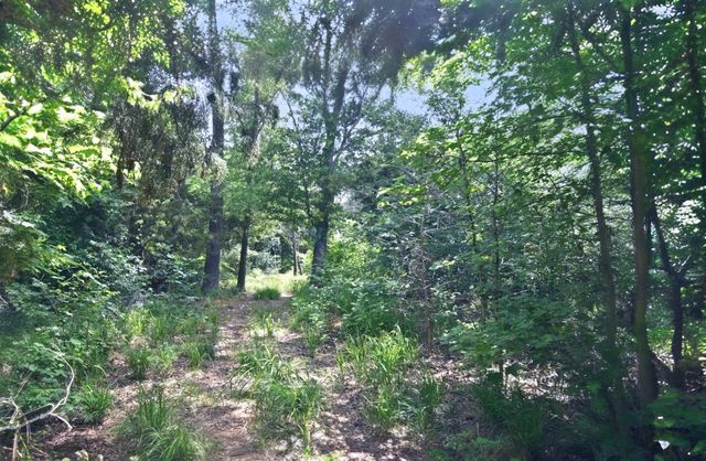 Lot 11 Bois D, Yantis, TX 75497