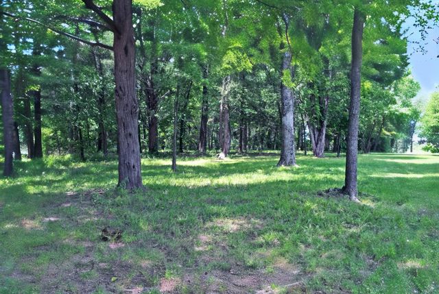Lot 11 Bois D, Yantis, TX 75497