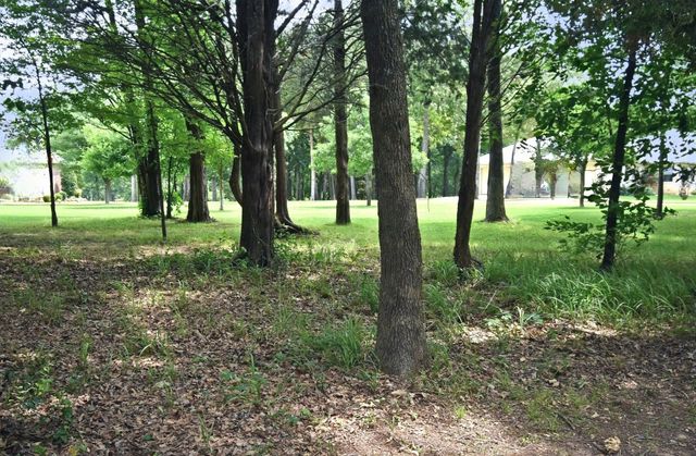 Lot 11 Bois D, Yantis, TX 75497