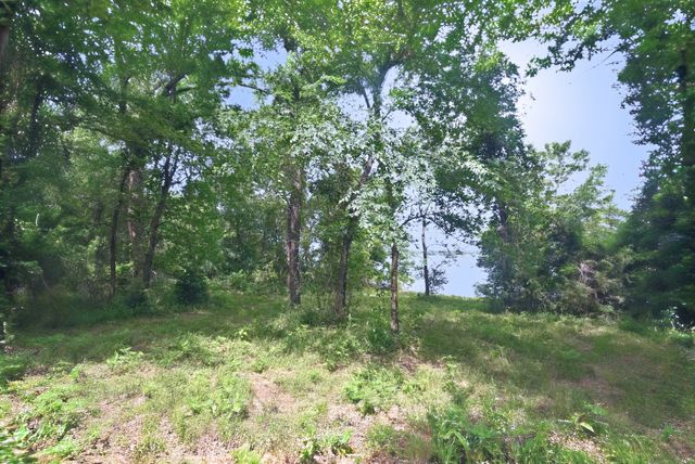 Lot 11 Bois D, Yantis, TX 75497