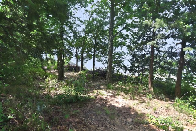 Lot 11 Bois D, Yantis, TX 75497