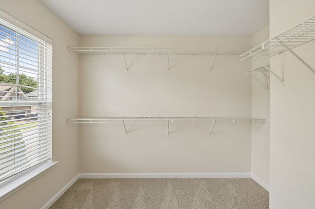 1432 Bern Dr, Spring Hill, TN 37174