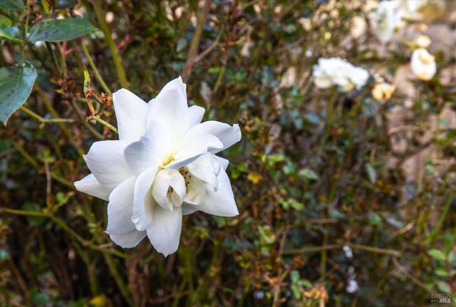 1763 E St, Napa, CA 94559