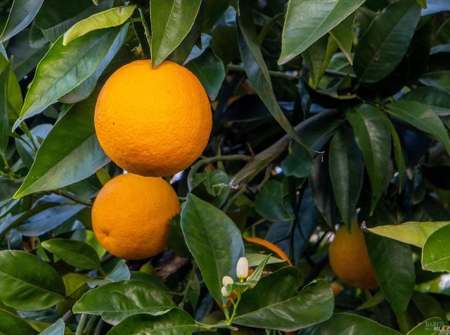 1763 E St, Napa, CA 94559