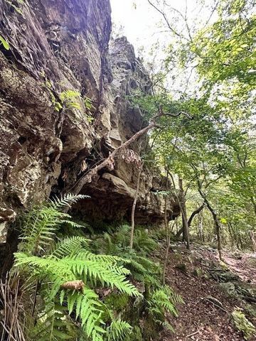 10397 S Mortensen Road, Lincoln, AR 72744