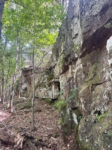 10397 S Mortensen Road, Lincoln, AR 72744