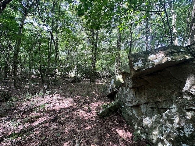 10397 S Mortensen Road, Lincoln, AR 72744