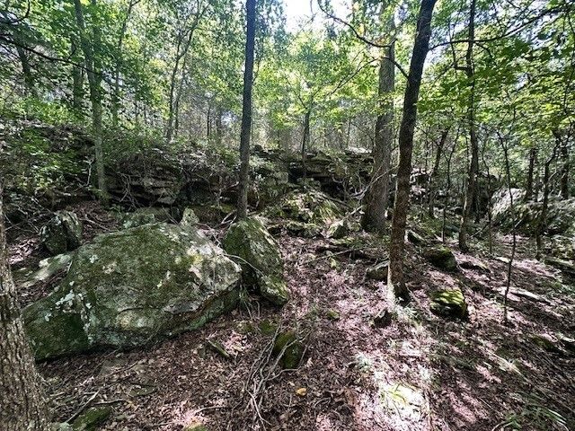 10397 S Mortensen Road, Lincoln, AR 72744