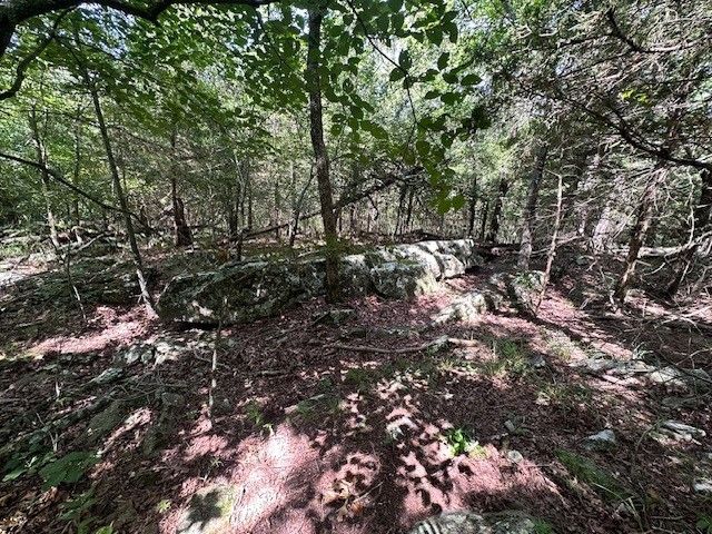 10397 S Mortensen Road, Lincoln, AR 72744